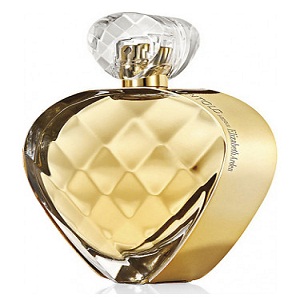 Elizabeth Arden Untold Absolu For Women
